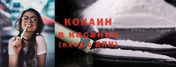 мет Дмитров