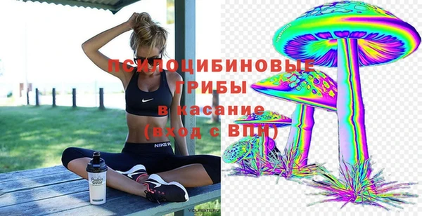 гашишное масло Дмитровск