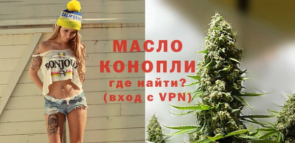 мет Дмитров