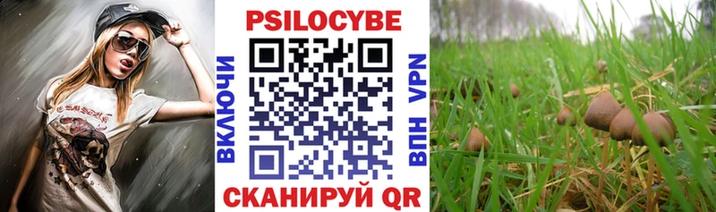 Купить где  Барыш  Галлюциногенные грибы ЛСД 
